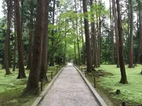 唐招提寺 奥の院（鑑真和上廟所）の写真・動画_image_303338