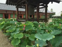 薬師寺の写真・動画_image_303344