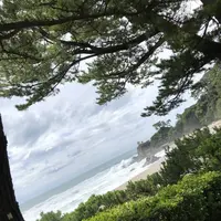 桂浜の写真・動画_image_303621