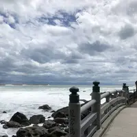 桂浜の写真・動画_image_303622