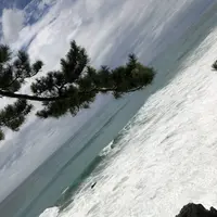 桂浜の写真・動画_image_303623