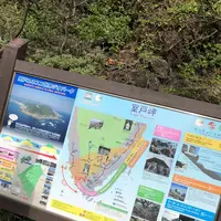 室戸岬の写真・動画_image_303716