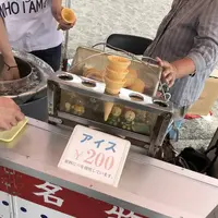 桂浜の写真・動画_image_303722