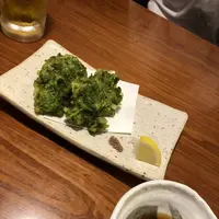 土佐のいごっそう 亀次の写真・動画_image_303725