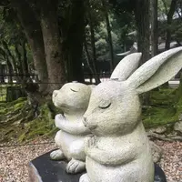 出雲大社の写真・動画_image_303764