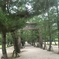 出雲大社の写真・動画_image_303766