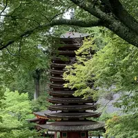 談山神社の写真・動画_image_303779