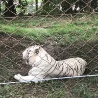 アドベンチャーワールドの写真・動画_image_303928