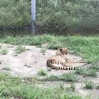 アドベンチャーワールドの写真・動画_image_303929