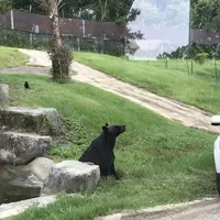 アドベンチャーワールドの写真・動画_image_303931