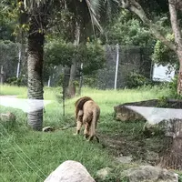 アドベンチャーワールドの写真・動画_image_303932