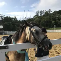 アドベンチャーワールドの写真・動画_image_303953