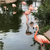 アドベンチャーワールドの写真・動画_image_303954