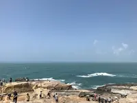 千畳敷の写真・動画_image_303965
