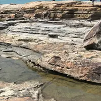 千畳敷の写真・動画_image_303966