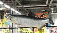とれとれ市場の写真・動画_image_303969