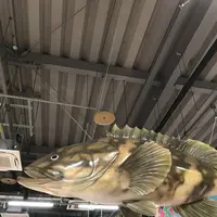とれとれ市場の写真・動画_image_303970