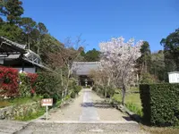 大御堂観音寺の写真・動画_image_304004