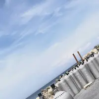 初島ダイビングセンターの写真・動画_image_304183
