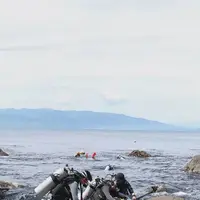 初島ダイビングセンターの写真・動画_image_304184