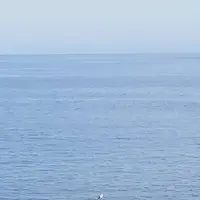 初島ダイビングセンターの写真・動画_image_304186