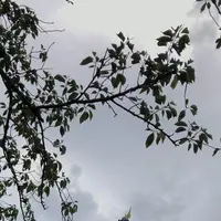 熱海城の写真・動画_image_304207
