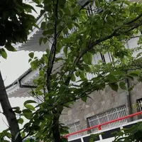 熱海城の写真・動画_image_304209