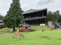 東大寺二月堂の写真・動画_image_304243