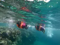 吉田サバニ造船（久宇良サバニツアー）の写真・動画_image_304368