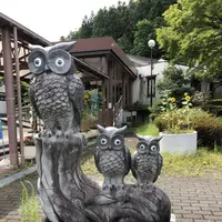 道の駅 両神温泉薬師の湯の写真・動画_image_304454