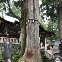 三峯神社の写真・動画_image_304457