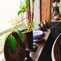 かまだ茶寮 円山の写真・動画_image_304497