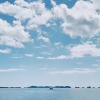 松島島巡り遊覧船の写真・動画_image_304587