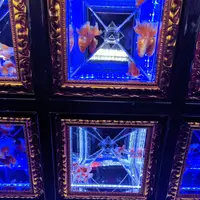 【閉業】アートアクアリウムの写真・動画_image_304838