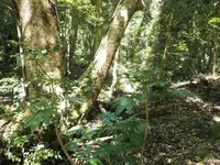 能登國一宮 気多大社の写真・動画_image_305678