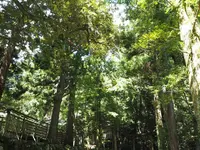能登國一宮 気多大社の写真・動画_image_305679