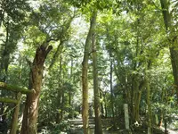 能登國一宮 気多大社の写真・動画_image_305680