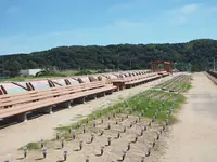 世界一長いベンチの写真・動画_image_305681