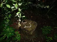 乙女の祈りの写真・動画_image_305708