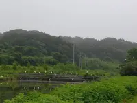 手樽海浜公園の写真・動画_image_305764