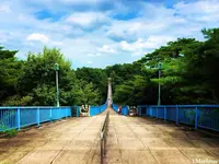 八幡山公園 宇都宮タワーの写真・動画_image_305821