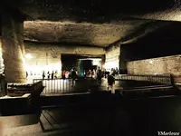 大谷石採石場跡・大谷資料館の写真・動画_image_305832