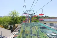 鳥取砂丘の写真・動画_image_306092