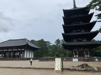 興福寺五重塔の写真・動画_image_306901