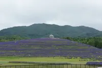 頭大仏（真駒内滝野霊園）の写真・動画_image_307005