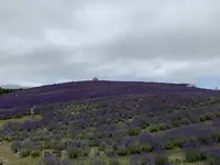 頭大仏（真駒内滝野霊園）の写真・動画_image_307006