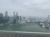 Marina Bay Sands Singapore（マリーナベイ・サンズ）の写真・動画_image_307056