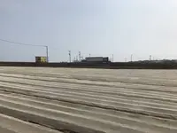 江奈湾干潟の写真・動画_image_307134