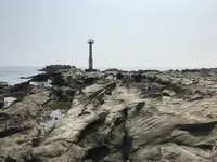 江奈湾干潟の写真・動画_image_307135