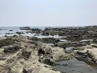 盗人狩の写真・動画_image_307163